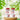 VitalGrowXL