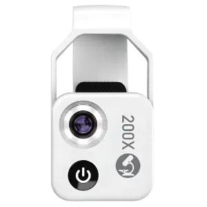 ZoomMax NL